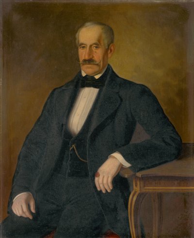 Portrait of Móric Zmeškal by Peter Michal Bohúň